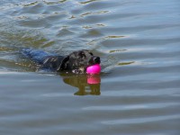 /album/galeria/a135556-175825815787460-5842888-o-jpg/