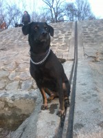 /album/galeria/a173048-186558514714190-886082-o-jpg/