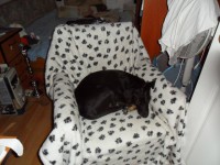 /album/galeria/a185568-234042599965781-7341746-n-jpg/