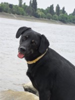 /album/galeria/a226700-203372656366109-3901307-n-jpg/