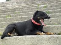 /album/galeria/a226885-203372686366106-6865239-n-jpg/