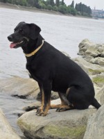 /album/galeria/a229359-203372746366100-766363-n-jpg/