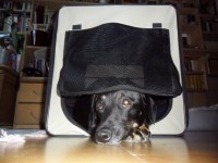 /album/galeria/a229647-234042626632445-1572998-n-jpg/