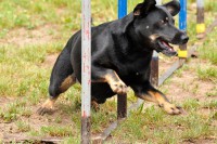 /album/galeria/a241357-206418799394828-2001148-o-jpg/