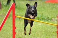 /album/galeria/a241421-206418452728196-2301018-o-jpg/