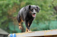 /album/galeria/a249686-206418709394837-2295476-n-jpg/