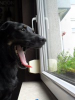 /album/galeria/a281443-229628880407153-6040642-n-jpg/