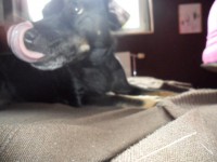 /album/galeria/a320734-247099748660066-790067179-n-jpg/