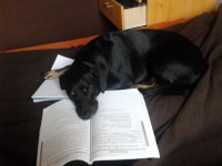 /album/galeria/a341151-302595559777151-1642592712-o-jpg/