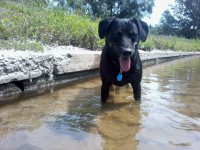 /album/galeria/a392827-412444525458920-1613309196-n-jpg/