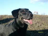 /album/galeria/a419205-335406679829372-1268966381-n-jpg/