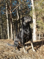 /album/galeria/a427768-338862916150415-396680960-n-jpg/