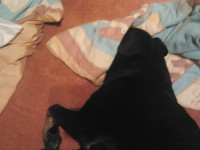 /album/galeria/a466295-346089292094444-104892882-o-jpg/