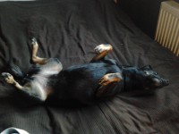 /album/galeria/a471407-342933382410035-1339137092-o-jpg/