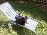 /album/galeria/a523839-410331415670231-723718576-n-jpg/